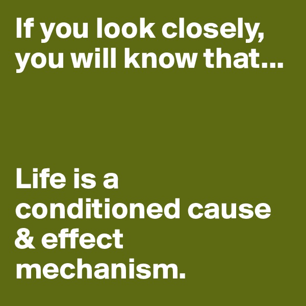 If you look closely, you will know that...



Life is a conditioned cause & effect mechanism.