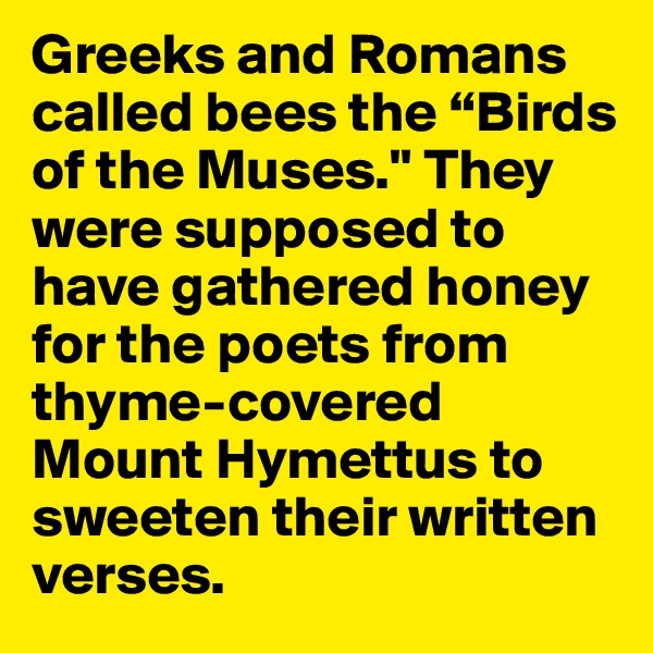 Greeks and Romans called bees the “Birds of the Muses." They were supposed to have gathered honey for the poets from thyme-covered Mount Hymettus to sweeten their written verses.