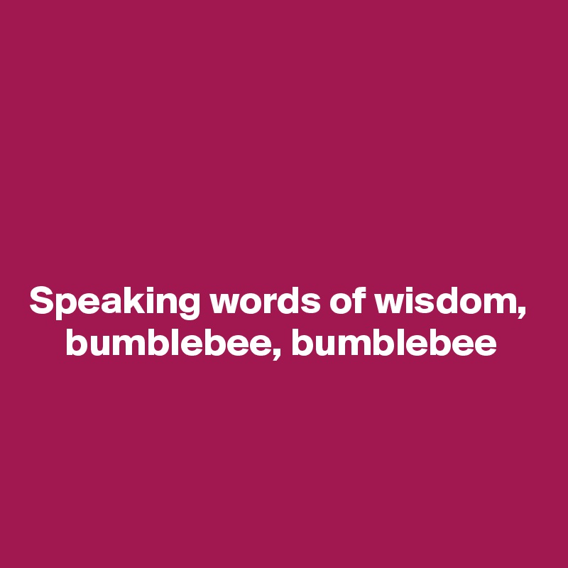 





Speaking words of wisdom, bumblebee, bumblebee


