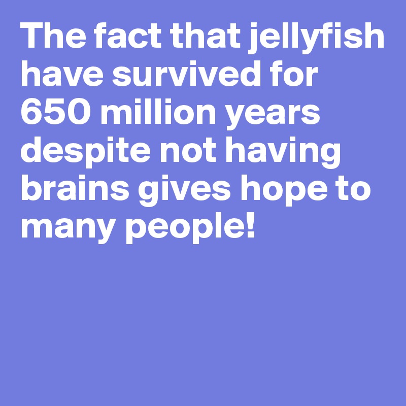 The fact that jellyfish have survived for 650 million years despite not having brains gives hope to many people!


