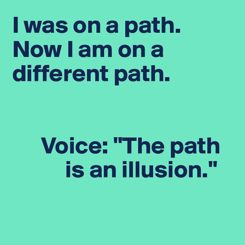 I was on a path. Now I am on a different path.


      Voice: "The path 
           is an illusion."

