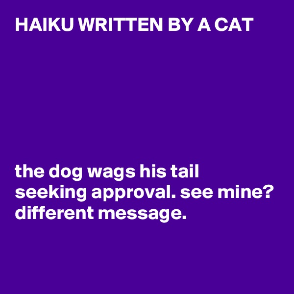 HAIKU WRITTEN BY A CAT






the dog wags his tail
seeking approval. see mine?
different message.

