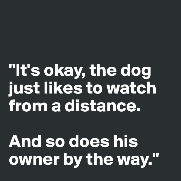 


"It's okay, the dog just likes to watch 
from a distance.

And so does his owner by the way."