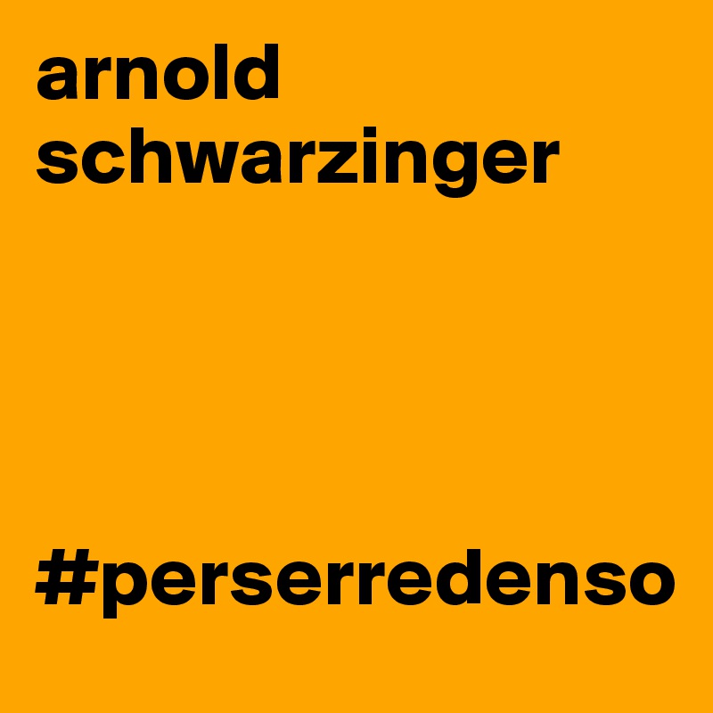 arnold schwarzinger




#perserredenso
