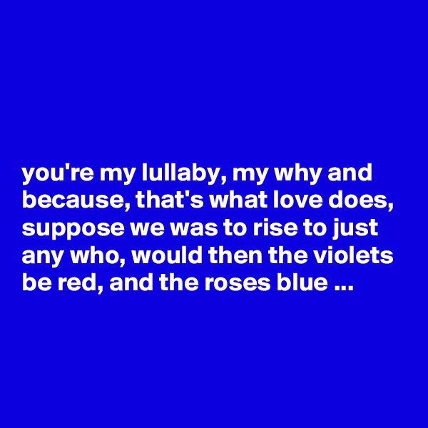




you're my lullaby, my why and because, that's what love does, suppose we was to rise to just any who, would then the violets be red, and the roses blue ...


