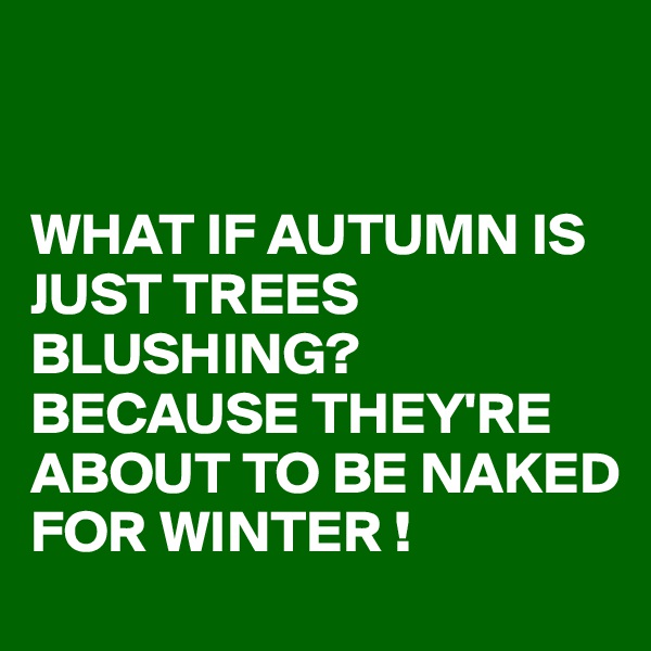 


WHAT IF AUTUMN IS JUST TREES BLUSHING?
BECAUSE THEY'RE ABOUT TO BE NAKED FOR WINTER !