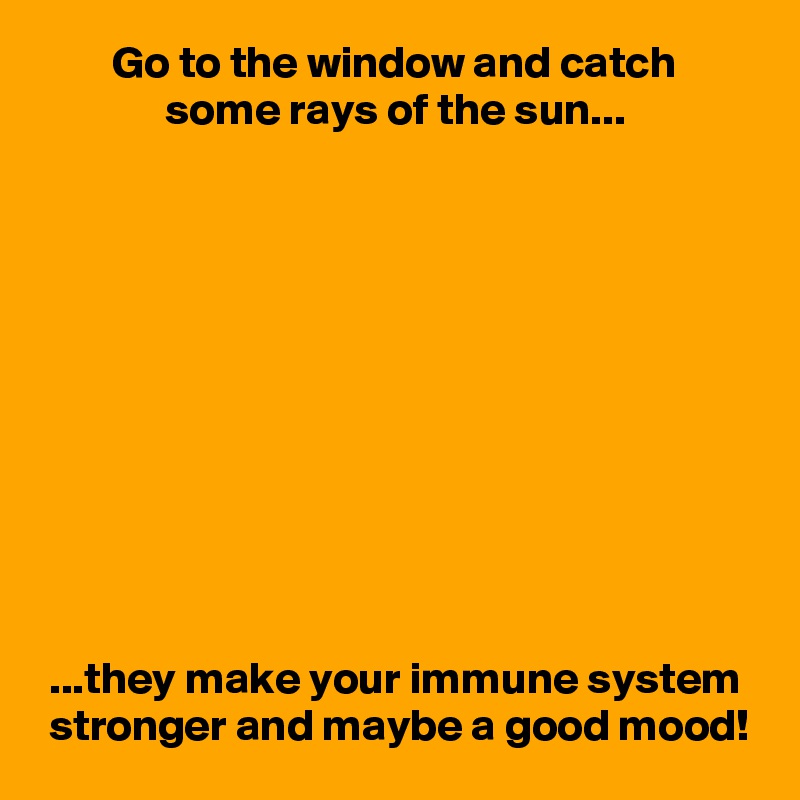         Go to the window and catch
              some rays of the sun...











 ...they make your immune system
 stronger and maybe a good mood!