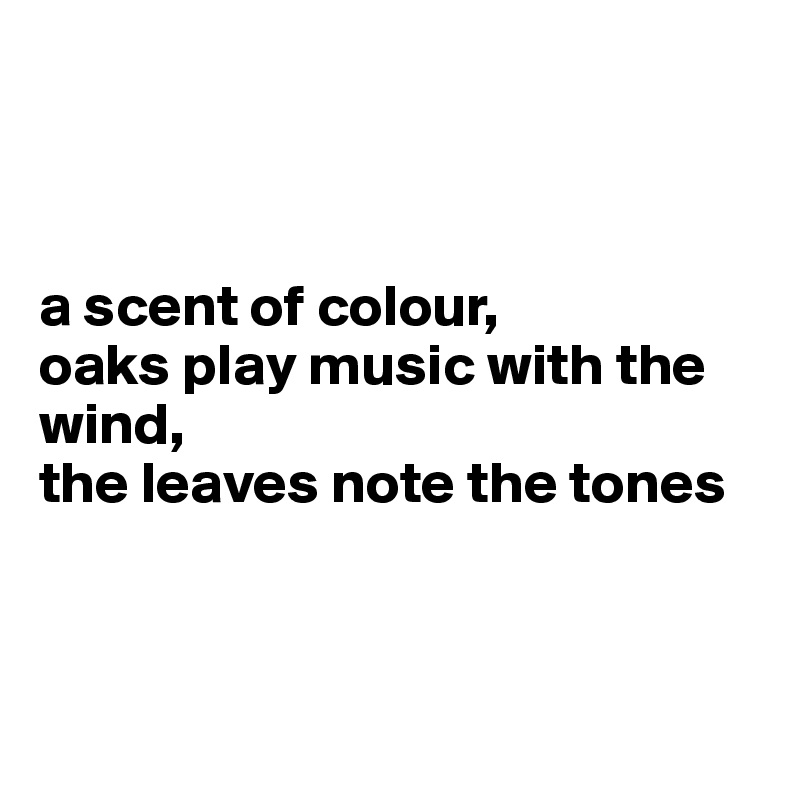 



a scent of colour,
oaks play music with the wind,
the leaves note the tones




