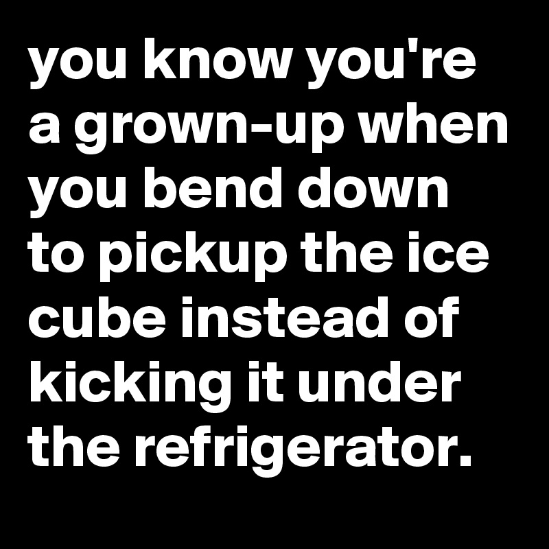 you know you're a grown-up when you bend down to pickup the ice cube instead of kicking it under the refrigerator.