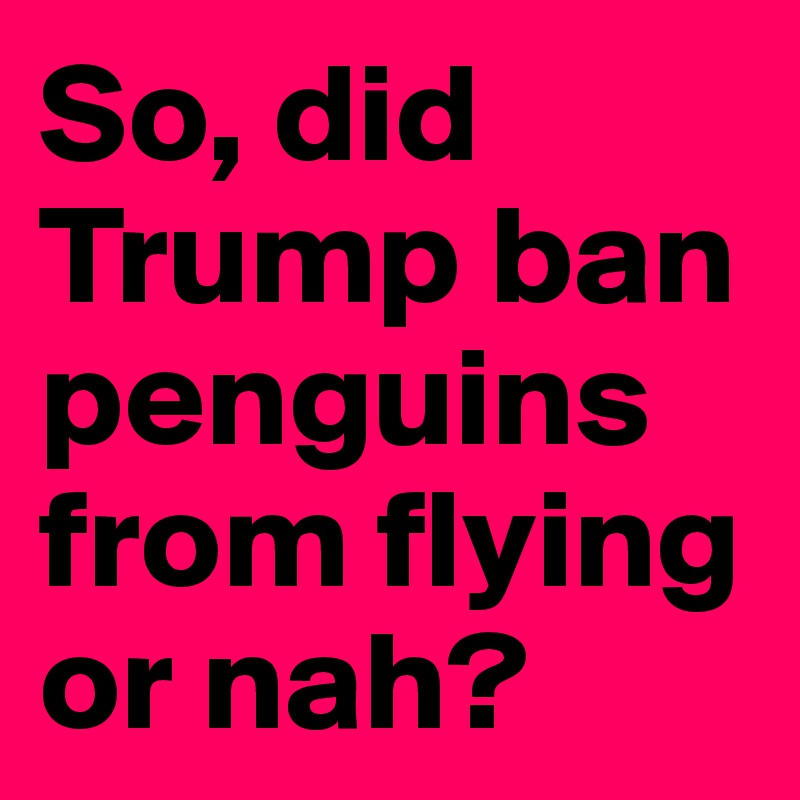 So, did Trump ban penguins from flying or nah?