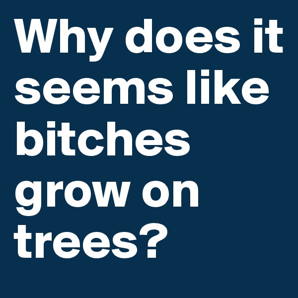 Why does it seems like bitches grow on trees?