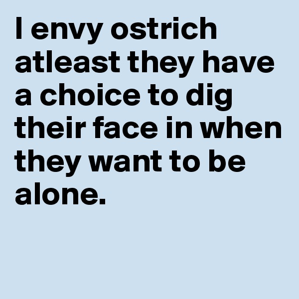 I envy ostrich atleast they have a choice to dig their face in when they want to be alone. 

