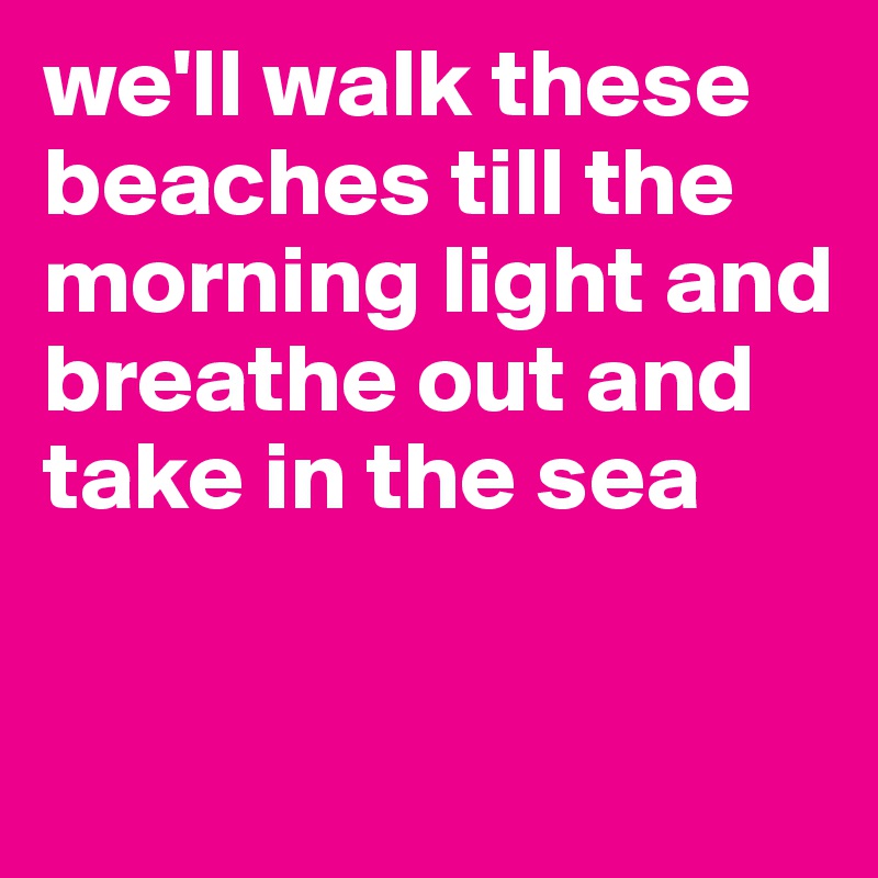 we'll walk these beaches till the morning light and breathe out and take in the sea

