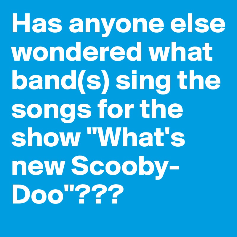 Has anyone else wondered what band(s) sing the songs for the show "What's new Scooby-Doo"???