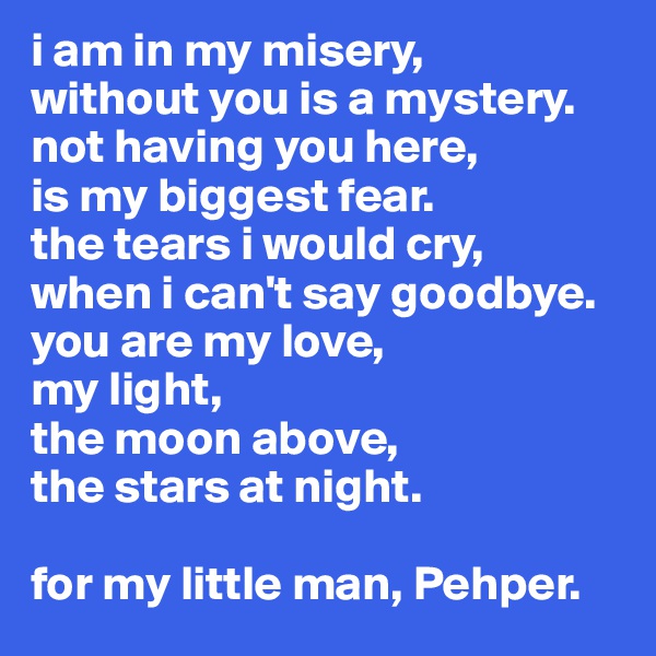 i am in my misery,
without you is a mystery. 
not having you here, 
is my biggest fear. 
the tears i would cry,
when i can't say goodbye. 
you are my love,
my light,
the moon above,
the stars at night. 

for my little man, Pehper. 
