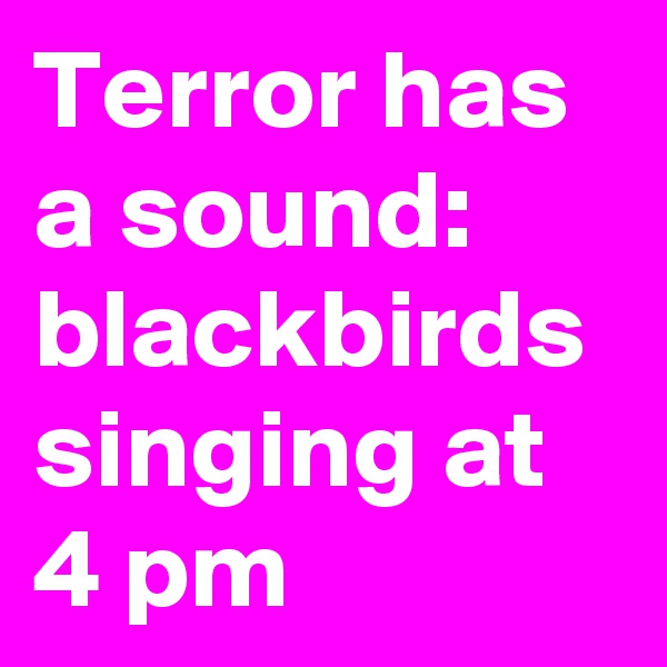 Terror has a sound:  blackbirds singing at 4 pm
