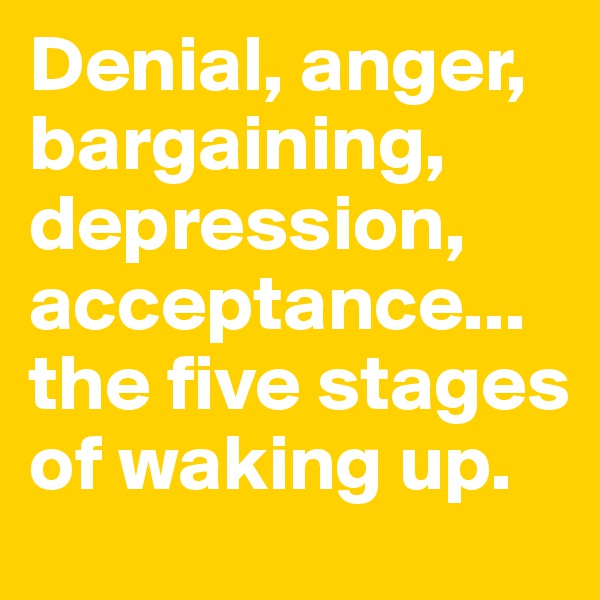 Denial, anger, bargaining, depression, acceptance... the five stages of waking up.