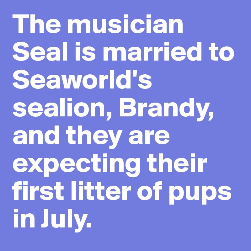 The musician Seal is married to Seaworld's sealion, Brandy, and they are expecting their first litter of pups in July.