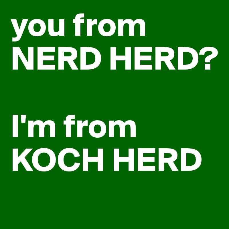 you from
NERD HERD?

I'm from
KOCH HERD