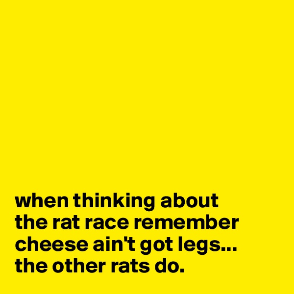 







when thinking about 
the rat race remember cheese ain't got legs...
the other rats do.