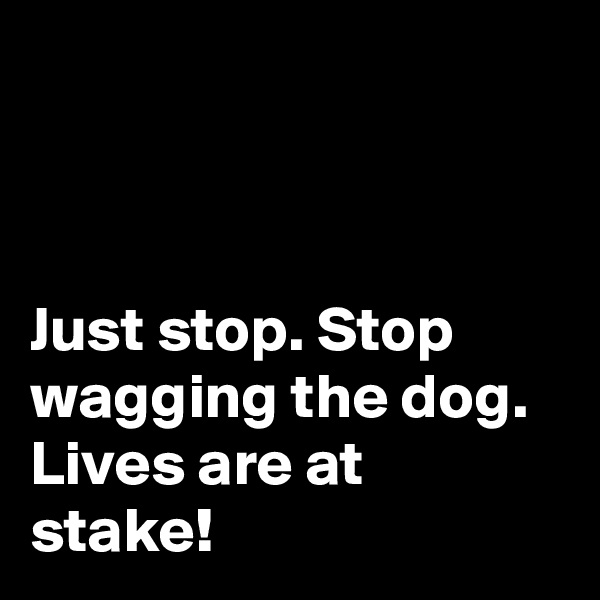 



Just stop. Stop wagging the dog. Lives are at stake!