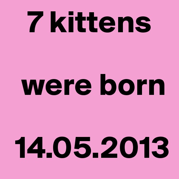    7 kittens
  
  were born

 14.05.2013