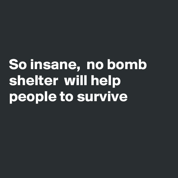 


So insane,  no bomb shelter  will help people to survive 



