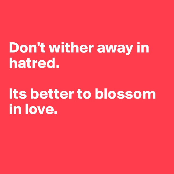 

Don't wither away in hatred.

Its better to blossom in love.


