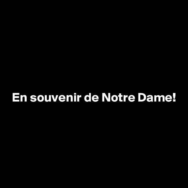 





 En souvenir de Notre Dame!




