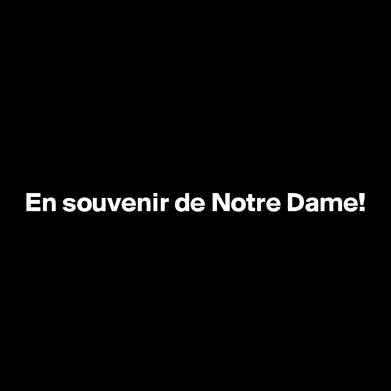 





 En souvenir de Notre Dame!




