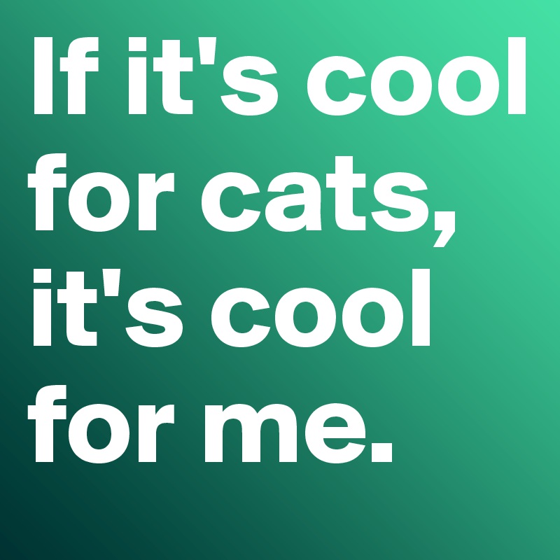 If it's cool for cats, it's cool for me.