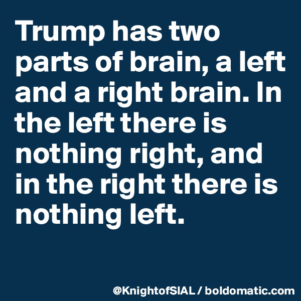 Trump has two parts of brain, a left and a right brain. In the left there is nothing right, and in the right there is nothing left.
