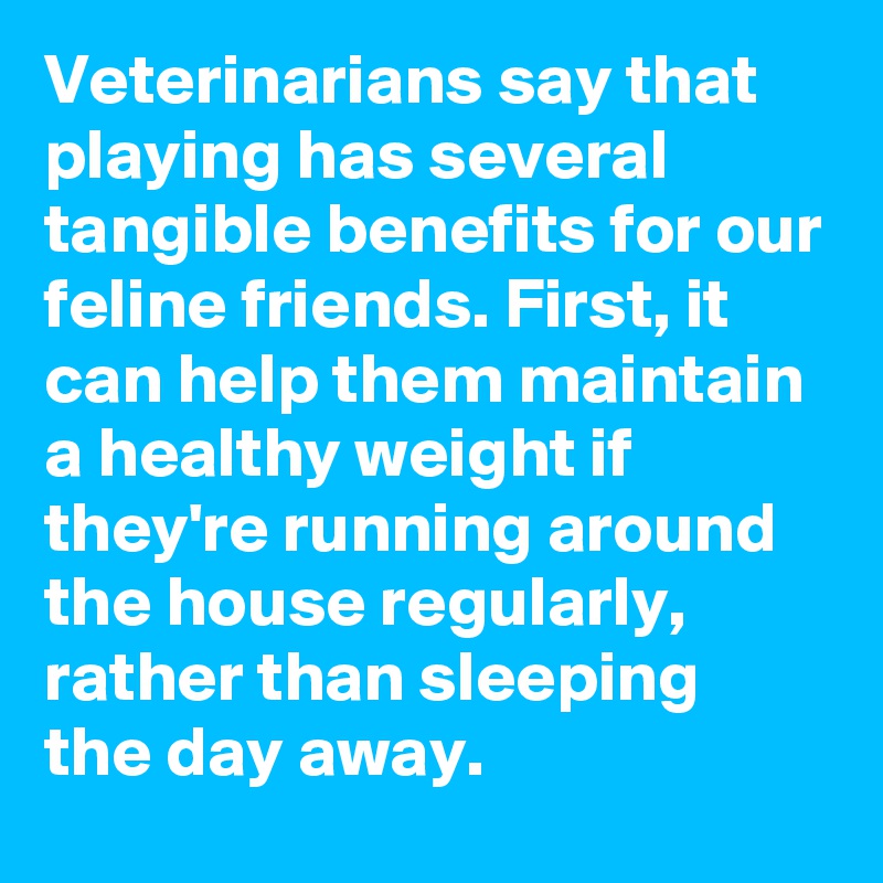 Veterinarians say that
playing has several tangible benefits for our feline friends. First, it can help them maintain a healthy weight if they're running around the house regularly, rather than sleeping the day away. 