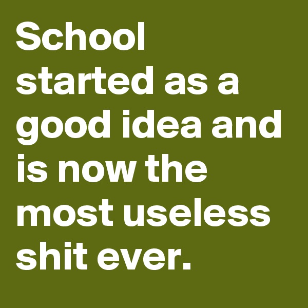 School started as a good idea and is now the most useless shit ever.