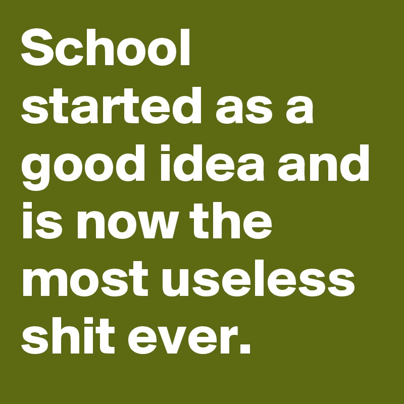 School started as a good idea and is now the most useless shit ever.