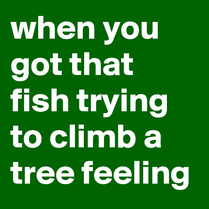 when you got that fish trying to climb a tree feeling