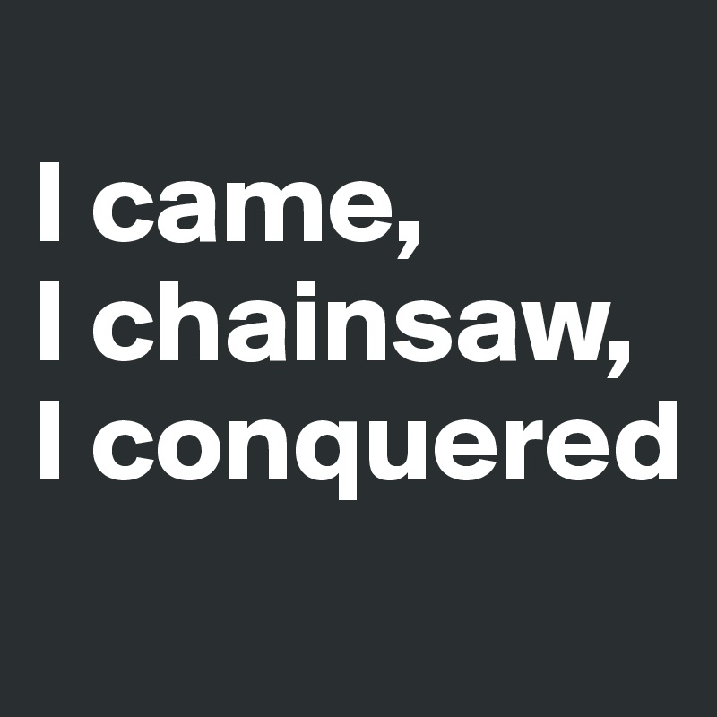 
I came, 
I chainsaw, I conquered
