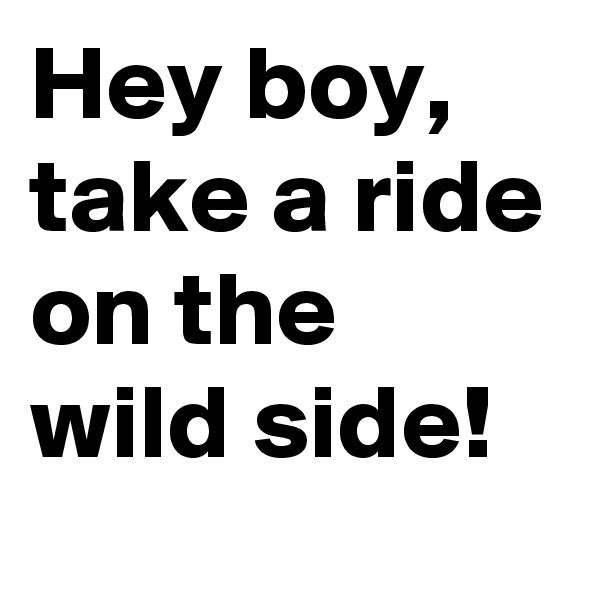 Hey boy, take a ride on the wild side!