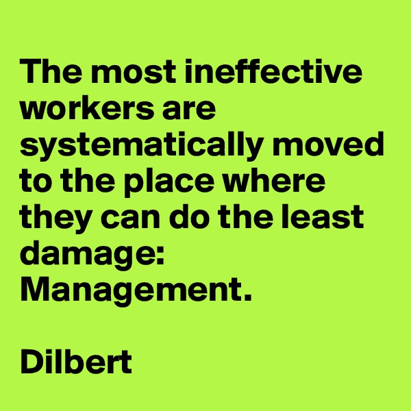 
The most ineffective workers are systematically moved to the place where they can do the least damage: Management.

Dilbert 