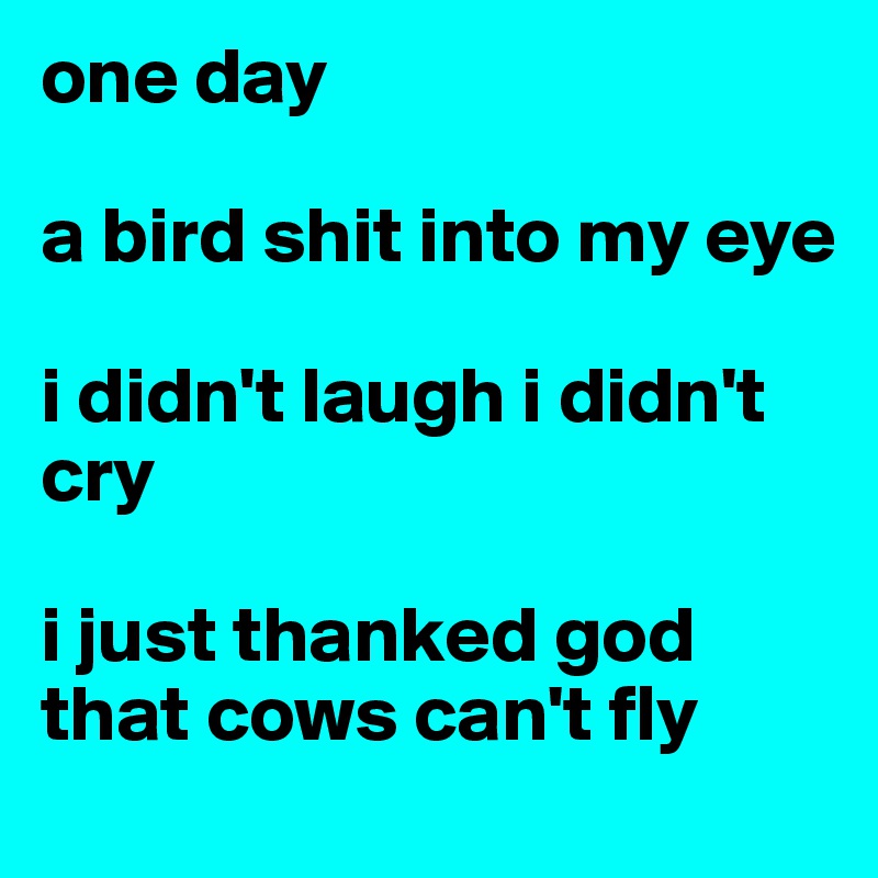 one day

a bird shit into my eye

i didn't laugh i didn't cry

i just thanked god 
that cows can't fly