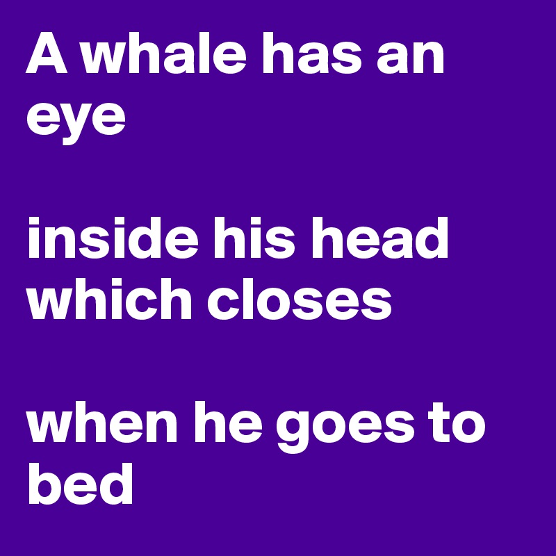 A whale has an eye

inside his head which closes

when he goes to bed
