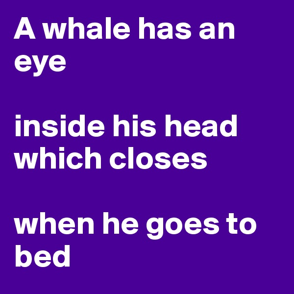 A whale has an eye

inside his head which closes

when he goes to bed
