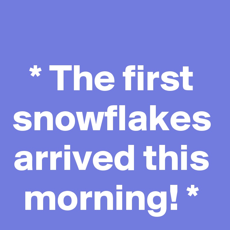 * The first snowflakes arrived this morning! *