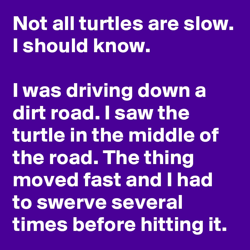 Not all turtles are slow. I should know.

I was driving down a dirt road. I saw the turtle in the middle of the road. The thing moved fast and I had to swerve several times before hitting it.