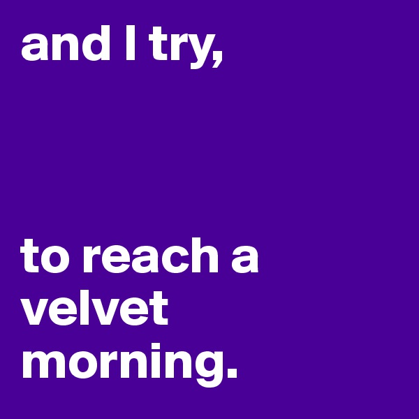 and I try,       



to reach a velvet          morning. 