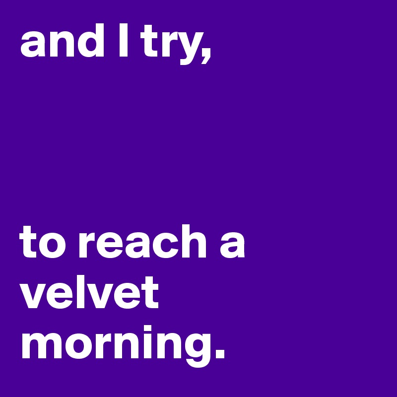 and I try,       



to reach a velvet          morning. 