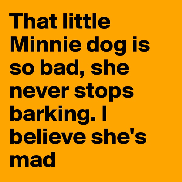 That little Minnie dog is so bad, she never stops barking. I believe she's mad