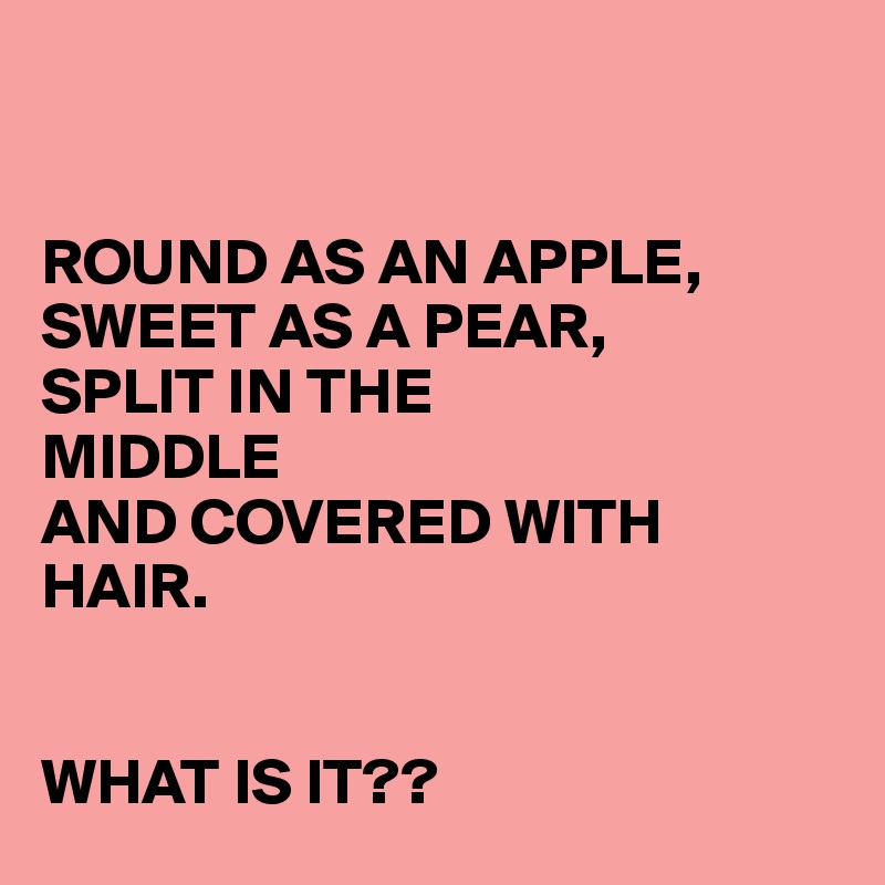


ROUND AS AN APPLE,
SWEET AS A PEAR,
SPLIT IN THE 
MIDDLE
AND COVERED WITH 
HAIR.


WHAT IS IT??