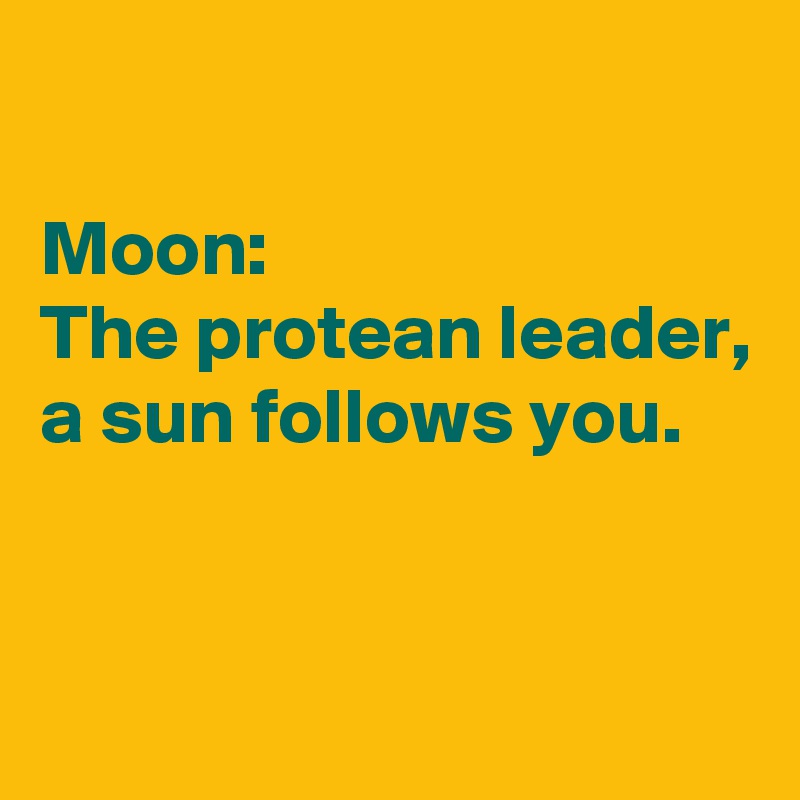 

Moon:
The protean leader,
a sun follows you.



