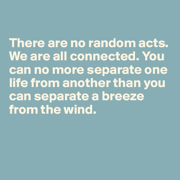 

There are no random acts. We are all connected. You can no more separate one life from another than you can separate a breeze from the wind.



